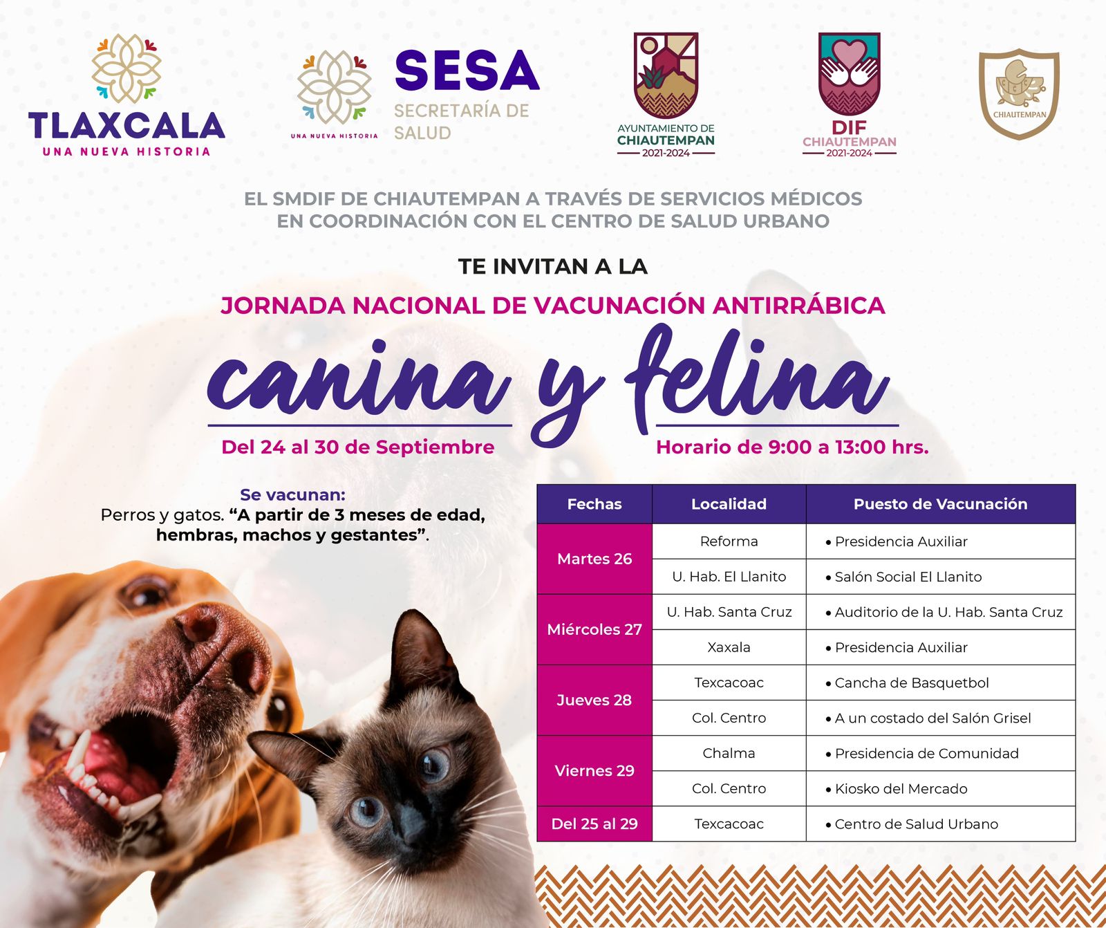 Invita SMDIF Chiautempan a Jornada Nacional de Vacunación Antirrábica Canina y Felina